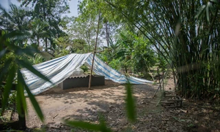 Anh hùng Nguyễn Văn Bảy an nghỉ dưới bóng khóm tre vườn nhà