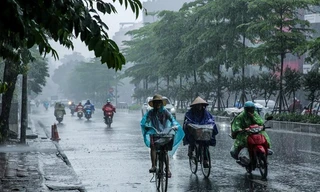 Bản tin 8H: Đêm nay, Bắc Bộ chuyển mưa rét