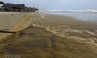 Nước biển đổi màu cà phê ở Quảng Ngãi. Ảnh: TTXVN