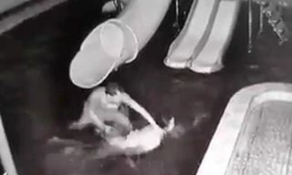 Ảnh cắt từ clip.