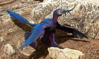 Hình ảnh loài khủng long có cánh nhỏ được mô tả.