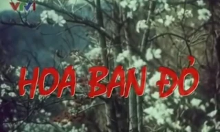 'Hoa ban đỏ' tái hiện những khoảng lặng thời chiến dịch Điện Biên Phủ