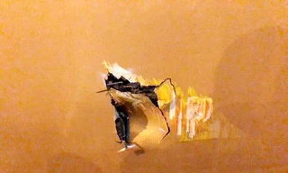 Vết thủng trên thân máy bay. Ảnh: CTV.