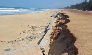 Xử lý các đơn vị làm ẩu kè biển 80 tỉ