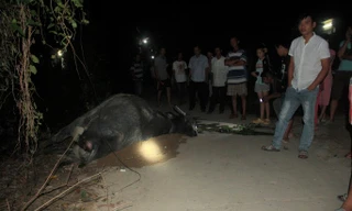 Hiện trường sự vụ