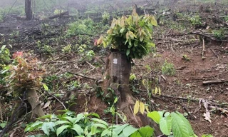 Ảnh: Báo Xây Dựng