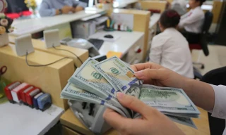 Ngân hàng Nhà nước sẵn sàng bán ngoại tệ can thiệp tỷ giá