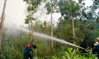 Chữa cháy rừng tràm U Minh Hạ (Ảnh tư liệu)
