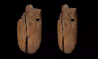 Hai mảnh trang sức bằng ngà voi được tìm thấy ở Ba Lan