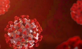 Một hoặc một số biến chủng SARS-CoV-2 siêu lây nhiễm xuất hiện tại Malaysia gần đây.