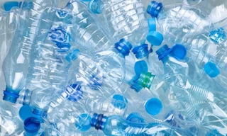 Nguyên liệu để chế biến thành hợp chất vani trong tương lai.