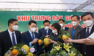 Lãnh đạo tỉnh Bắc Giang thăm các gian hàng trưng bày tại hội nghị