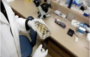 Hàn Quốc phát triển loại thuốc điều trị ung thư mới