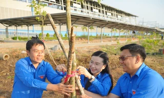 Tuổi trẻ TPHCM trồng cây xanh chào Xuân Ất Tỵ 2025