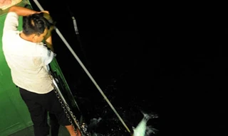 Câu cá đêm tại Trường Sa