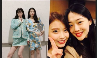 Fans xúc động vì MV mới của IU gợi nhớ đến Sulli quá cố