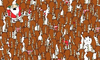 Trò chơi ‘hack não’ mùa Giáng sinh: Tìm chú gấu lẩn trốn giữa đàn tuần lộc