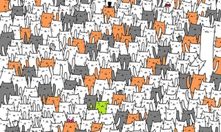 'Hack não' với các thử thách tưởng không khó mà khó không tưởng