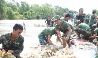 Gồng mình giữ đê