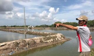 Dừng phân lô bán nền dự án 'vẽ' trên đất ruộng muối