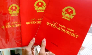TPHCM: Nhà, đất chưa có sổ đỏ không được lập vi bằng