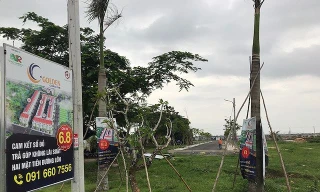 Công an vào cuộc vụ 'vẽ' dự án trên ruộng muối ở Bà Rịa Vũng Tàu