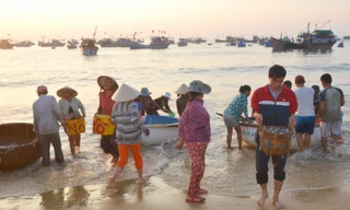 Ngư dân trúng đậm ngàn tấn thủy hải sản trong chuyến ra khơi đầu năm