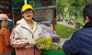 Đặc sản vùng miền 'đổ bộ' chợ Tết Thủ đô 