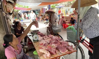 9.000 con lợn sống Thái Lan về Việt Nam bán ở đâu?