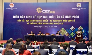 Phó Thủ tướng Trịnh Đình Dũng phát biểu tại Diễn đàn.