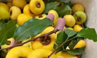 Thị sáp, hoa cau nguyên bẹ đắt hàng ngày mùng 1 mùa Vu Lan