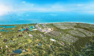 Bộ Xây dựng: Chưa đủ cơ sở lập quy hoạch trên đất rừng tại 'siêu' dự án Safari Hồ Tràm