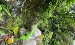 Xuống vực sâu Yên Tử tìm nơi người phụ nữ Hà Nội sống sót qua 7 ngày