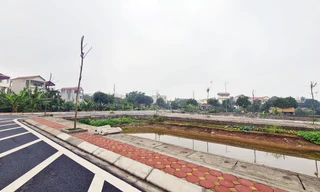 Cận cảnh khu đất đấu giá nhiều sai phạm ở Hà Nội