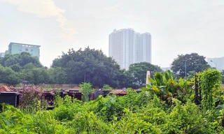 Nơi học sinh bốc thăm để được đi học, đề nghị chủ các khu đô thị giao lại 7 ô đất để xây trường 