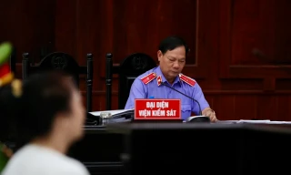 Luật sư xin nêu 'tình tiết mới', xin giảm án cho bà Nguyễn Phương Hằng