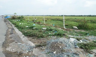 Khu công nghiệp đã hoàn thành hạ tầng, bỏ hoang 5 năm