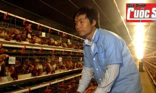 Gà đẻ sòn sòn khi nghe nhạc giao hưởng