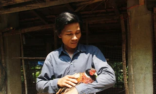 Cử nhân nuôi chim trĩ