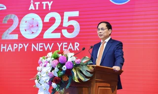 Phó Thủ tướng, Bộ trưởng Ngoại giao Bùi Thanh Sơn phát biểu tại buổi gặp mặt. (Ảnh: Mofa)