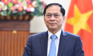 Phó Thủ tướng, Bộ trưởng Ngoại giao Bùi Thanh Sơn. (Ảnh: Mofa)