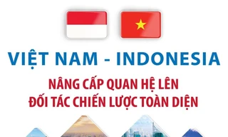 Việt Nam và Indonesia nâng cấp quan hệ lên Đối tác chiến lược toàn diện