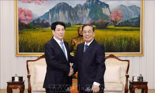 Chủ tịch nước Lương Cường gặp các nguyên lãnh đạo cấp cao Lào