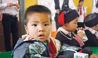 Chương trình sữa học đường đã được công ty cổ phần giống bò sữa Mộc Châu mở rộng đến hơn 2.000 em học sinh trên địa bàn Sơn La. Ảnh: Thao Nguyễn