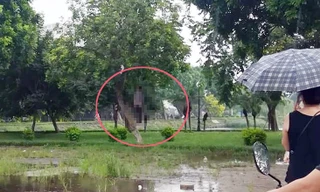 Hiện trường vụ việc. Ảnh Facebook