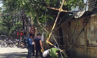 Thanh tời của vận thăng rơi trúng hàng trà đá.