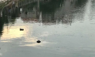 Hiện trường vụ việc.