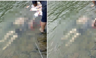 Hiện trường vụ việc.