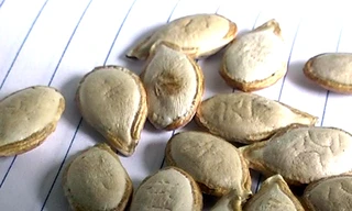 Chữ Nho xuất hiện trên hạt bí?