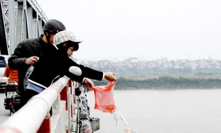 Phóng cá chết, túi nilon ngày Ông Táo